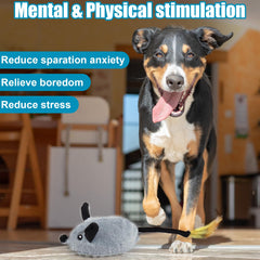 Mity rain squeaky mouse toy in motion promoting exercise and focus for pets