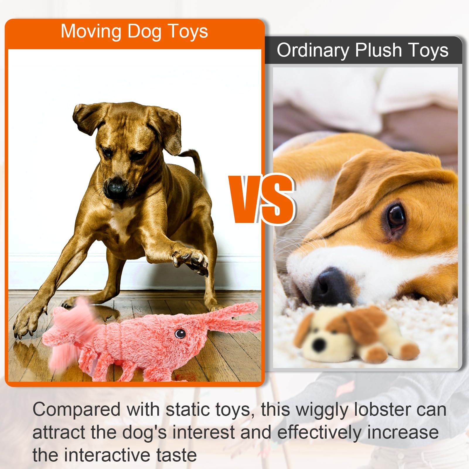 Indoor-outdoor play option supports versatile dog routines.