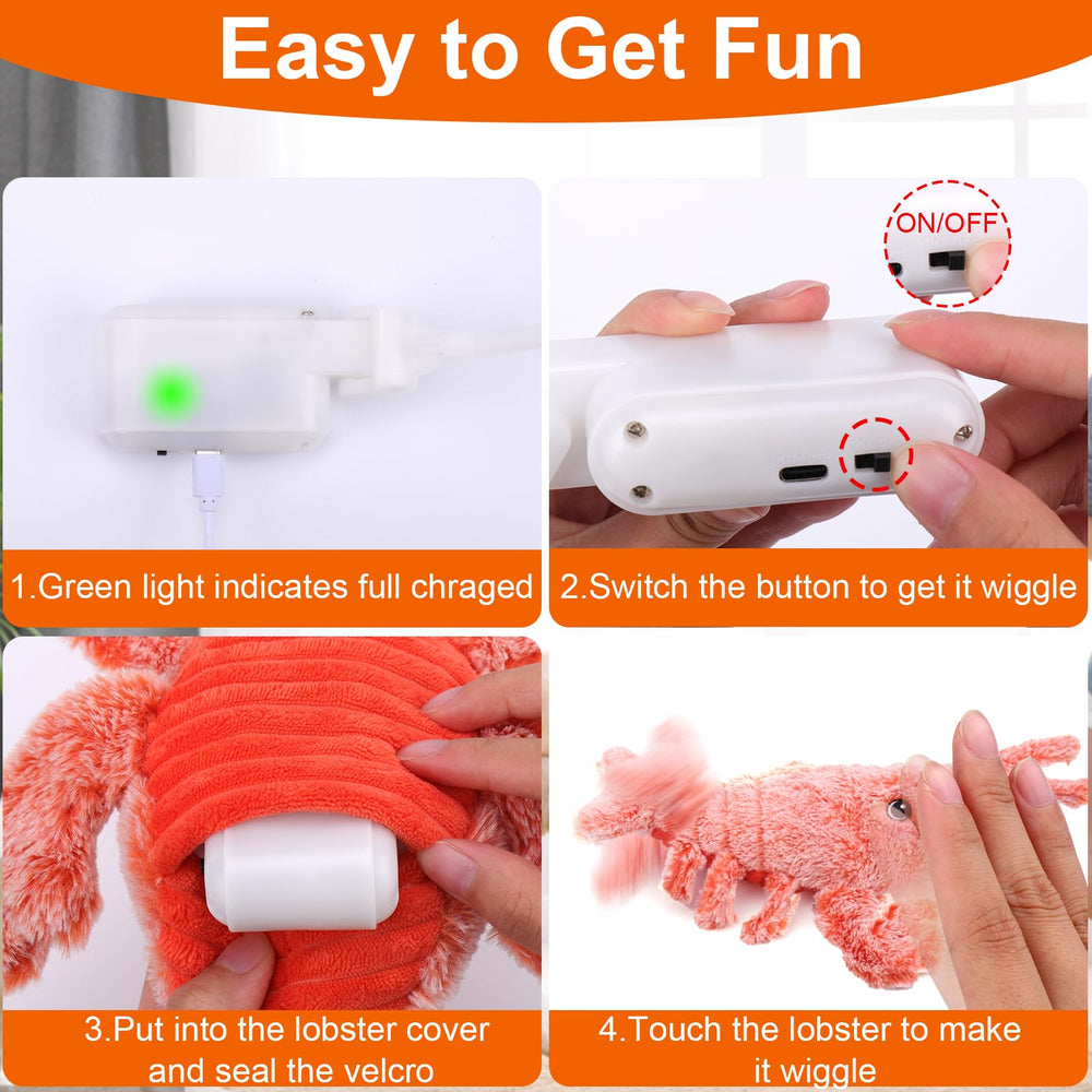 Step-by-step setup guide helps owners activate the toy quickly.