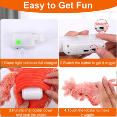 Step-by-step setup guide helps owners activate the toy quickly.