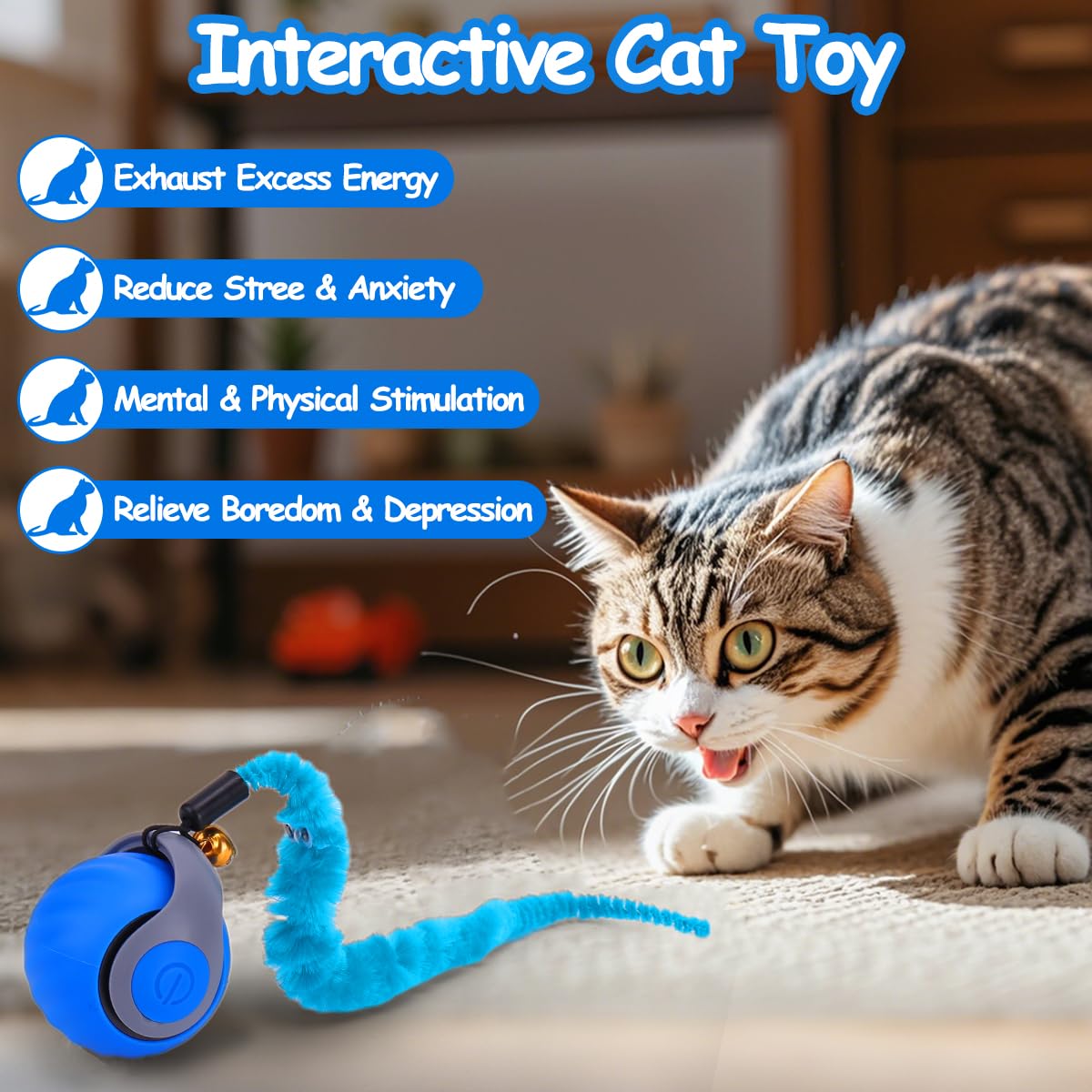 Mity Rain rechargeable cat ball for long play sessions