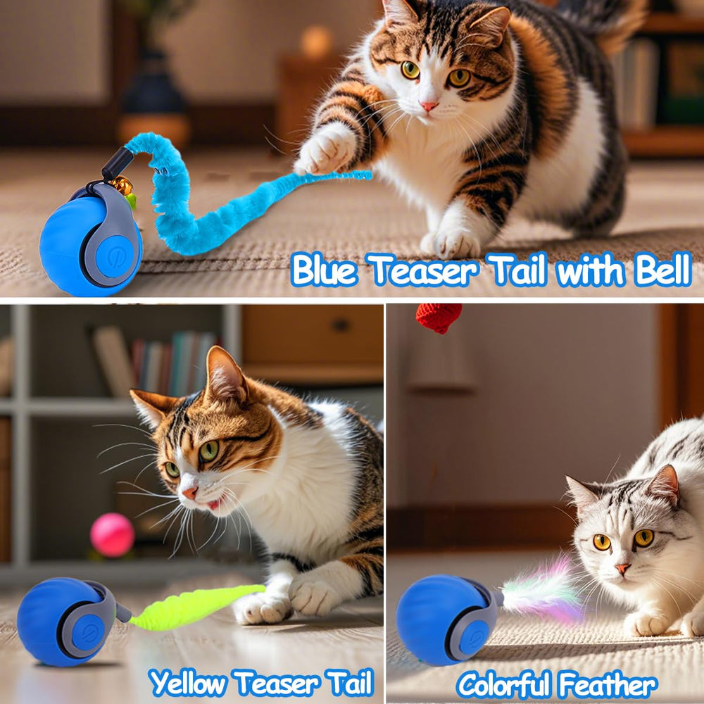 Mity Rain two-mode toy offers varied pacing for curious cats