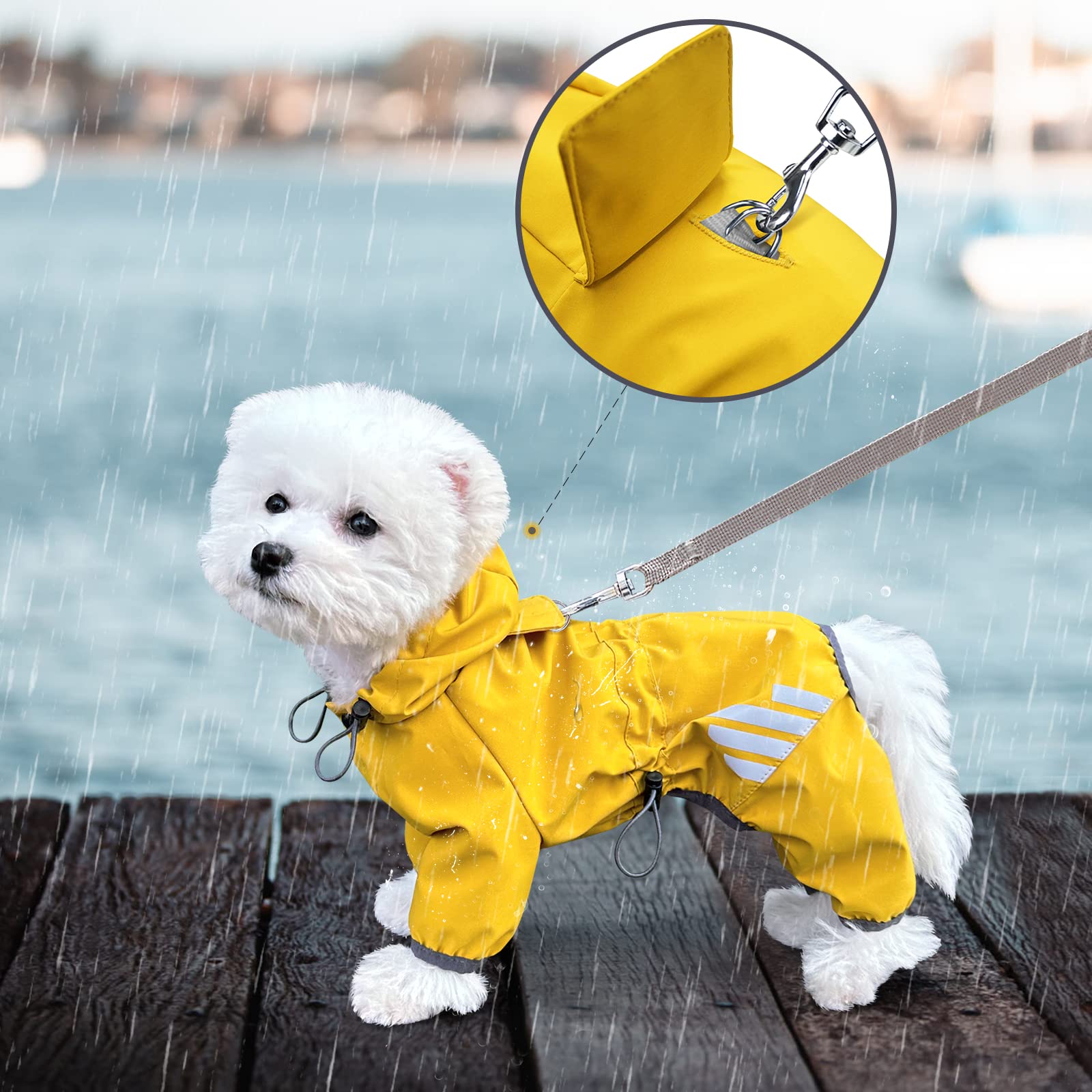 Miucat adjustable neck and waist ensure comfy fit for small to medium dogs.