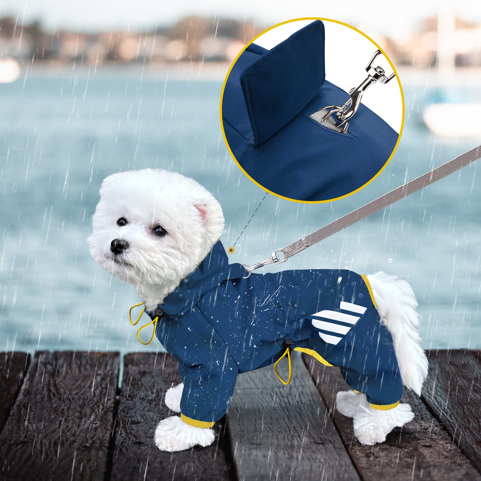 Miucat raincoat worn on a dog during outings stays comfortable.