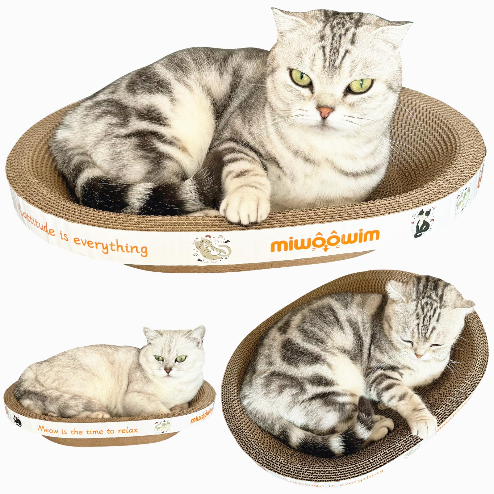 Miwoowim cat lounging bed demonstrates ergonomic concave design for spine comfort