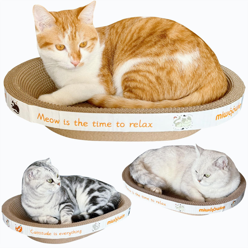 Miwoowim cat scratcher with box offers secure lounging and quick naps