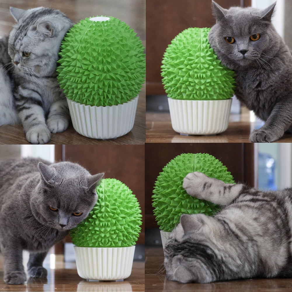 Miwoowim Catnip Feeder soft bristles deliver gentle grooming
