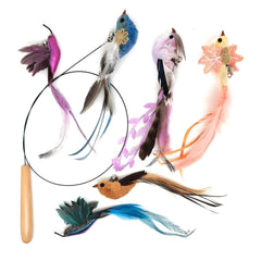miwoowim feather bird attachments in colorful varieties entice cats