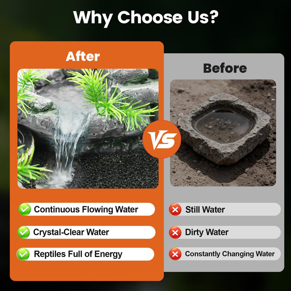 MIXJOY gecko and chameleon hydration station keeps insects and water accessible.