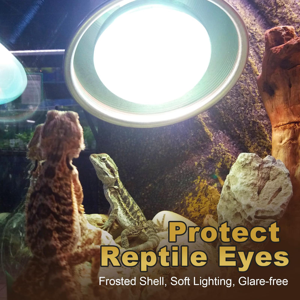 MixJOY dimmable heat lamp in a reptile enclosure setup for adjustable warmth.