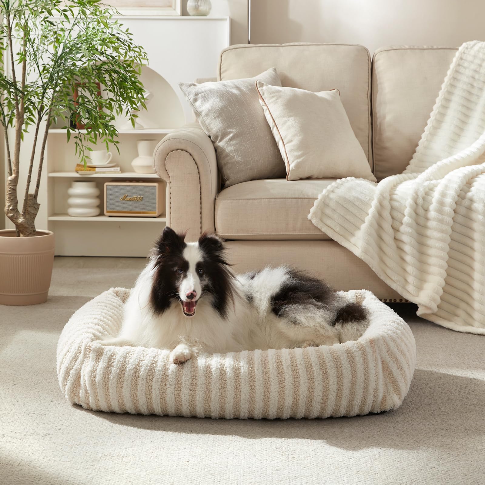 MIXJOY compact nap nest in a tidy corner for small pets