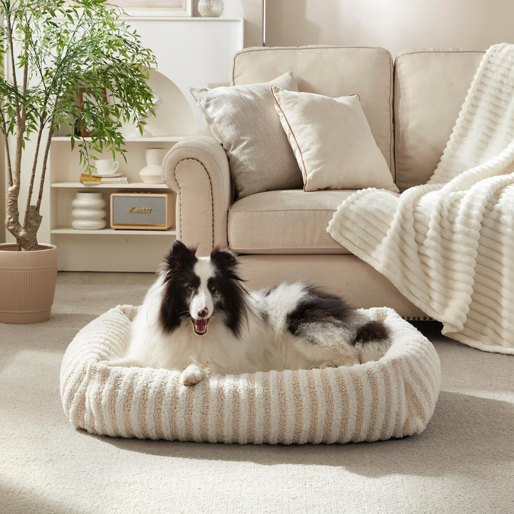 MIXJOY compact nap nest in a tidy corner for small pets