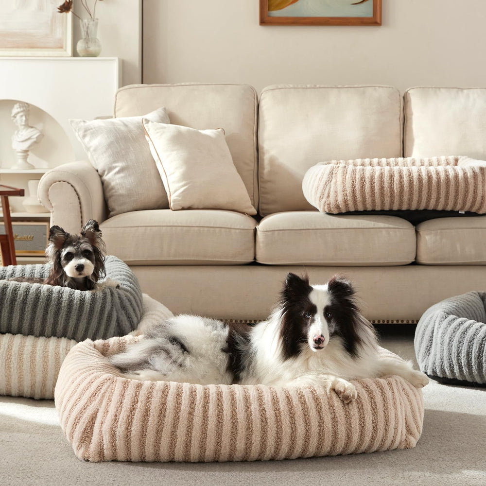 MIXJOY beige dog bed blends with any room while offering cozy resting space.