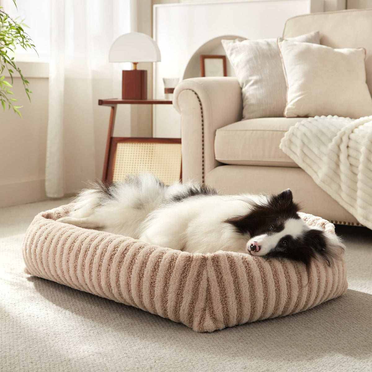 MIXJOY dog bed with removable cover for easy cleaning.