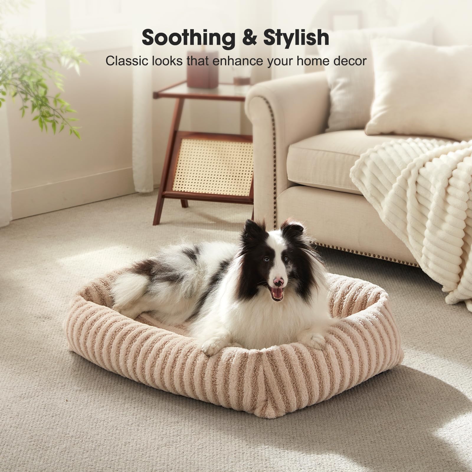 MixJOY medium size bed suits medium dogs and large cats.