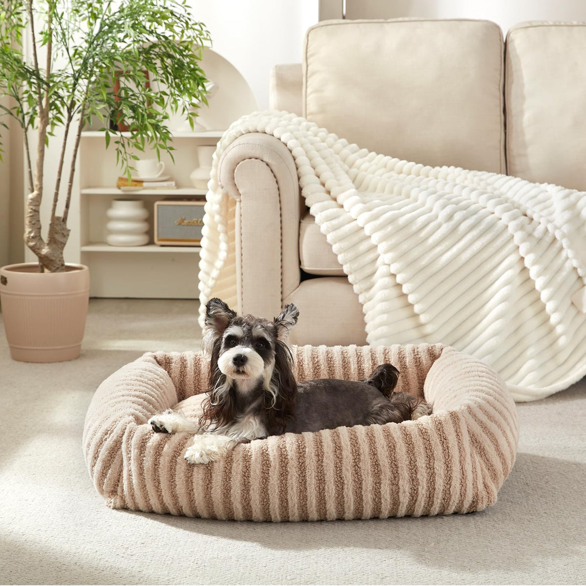 MixJOY dog bed with removable cover for easy cleaning.