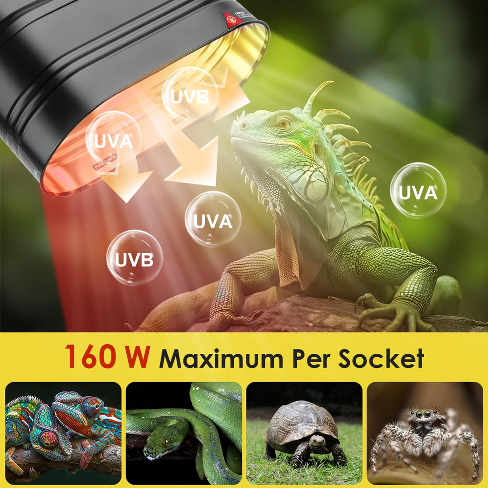 MIXJOY fixture uses stainless-steel hooks for versatile terrarium mounting