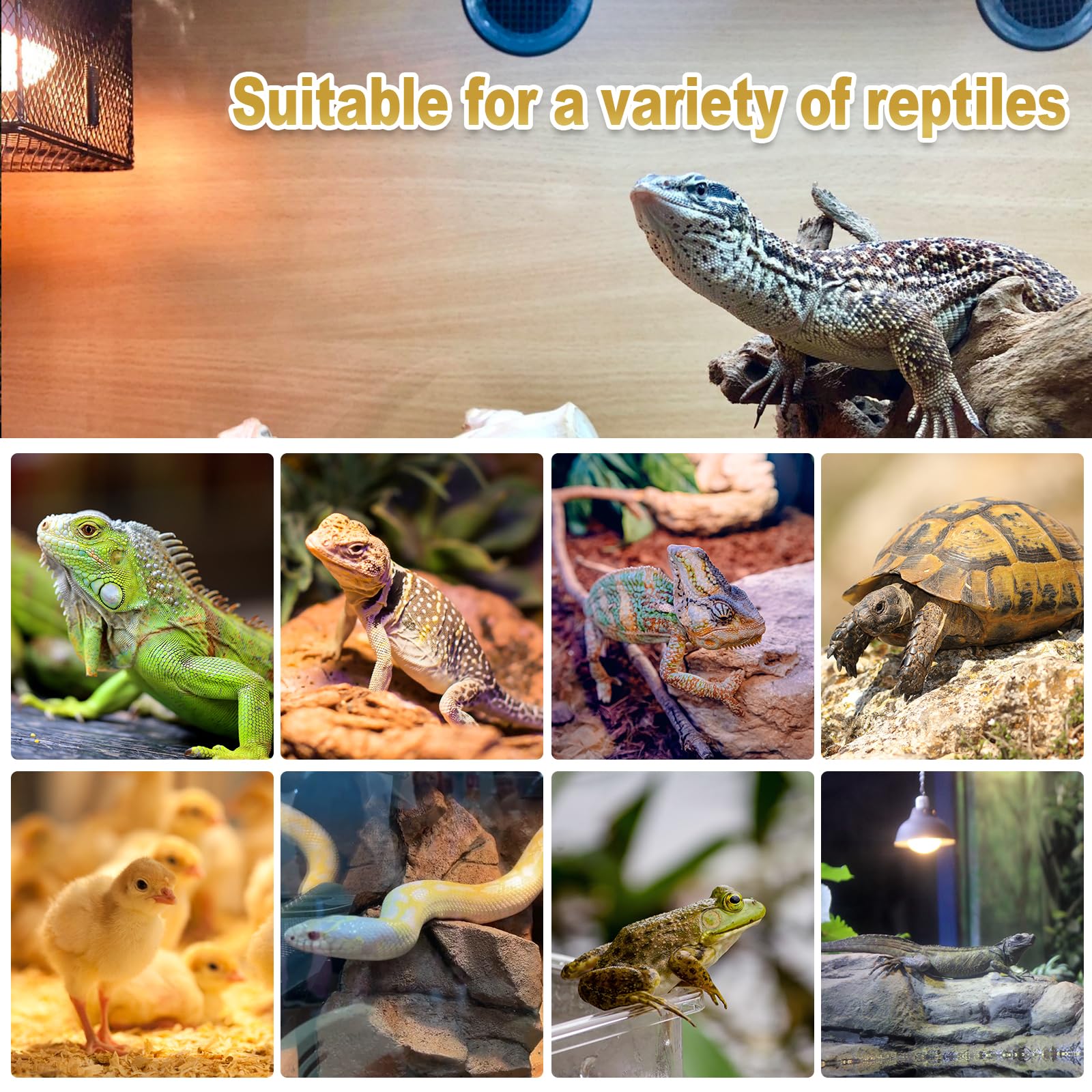 MixJOY energy-efficient reptile light reduces power use while maintaining warmth