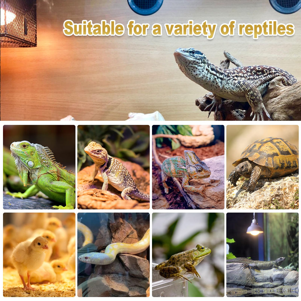 MixJOY energy-efficient reptile light reduces power use while maintaining warmth