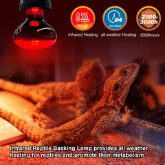 MIXJOY infrared heat lamp for gecko terrarium promoting reliable warmth.
