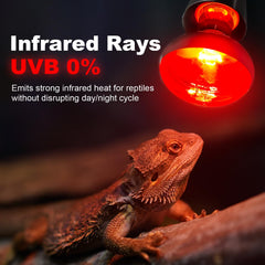 MIXJOY infrared heat lamp for turtle terrarium with gentle, continuous heat.