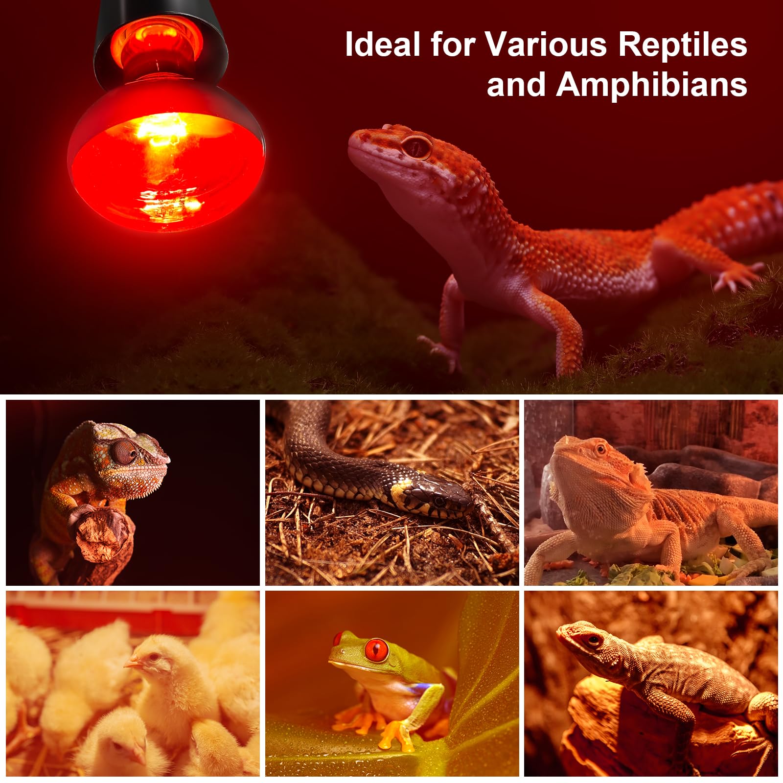 MIXJOY heat lamp keeps chickens and small pets warm.