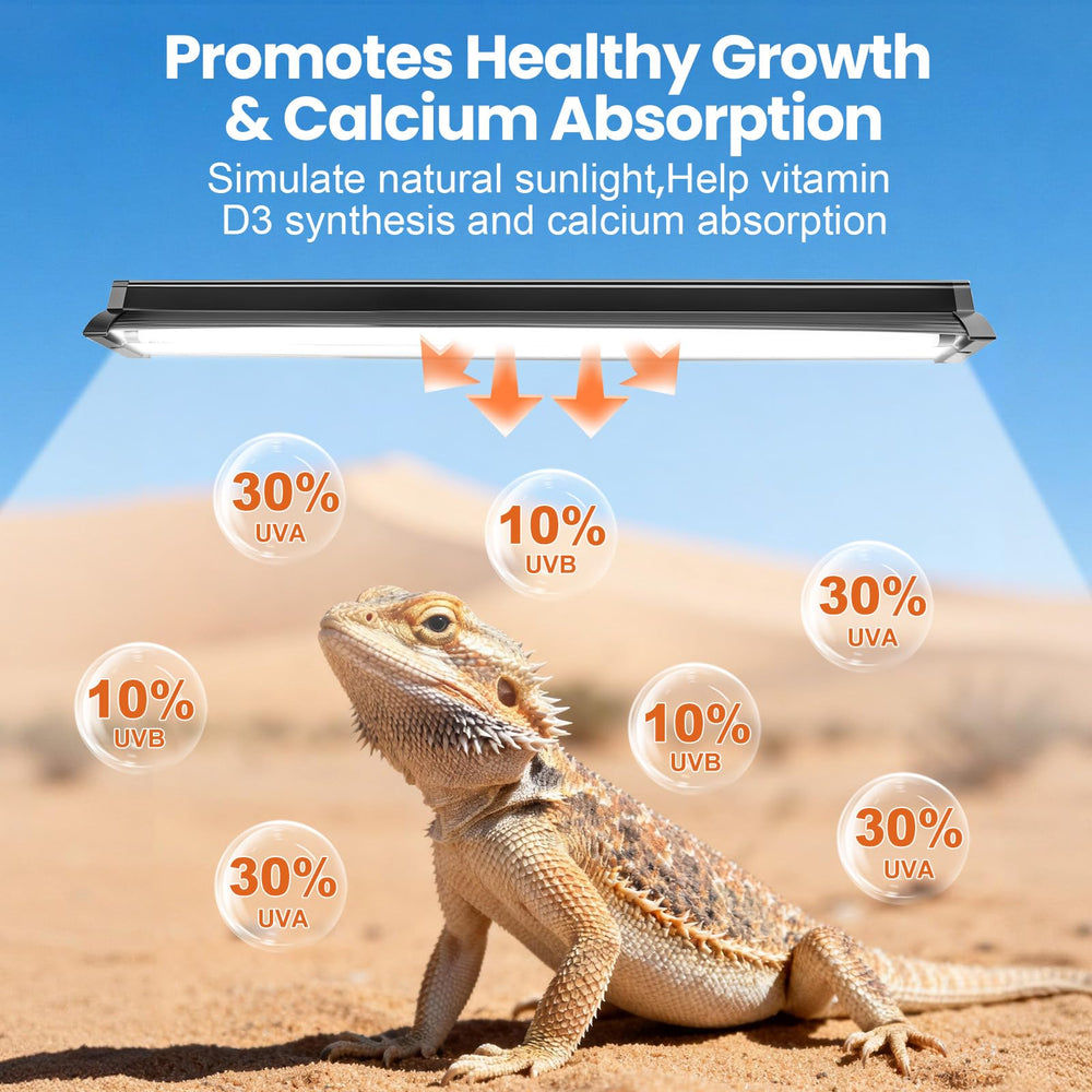 MIXJOY Desert Spectrum 10.0 UVB output enhances basking and activity near the light