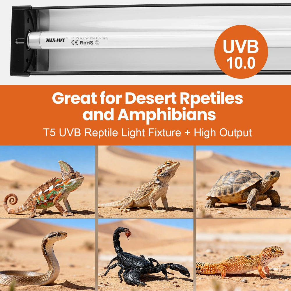 MIXJOY Aluminum reflector directs UVB downward for a brighter, focused basking area