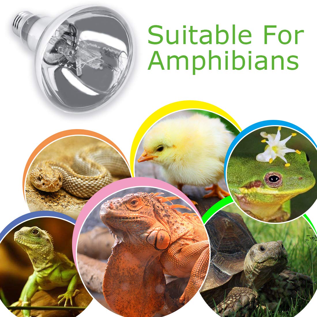 MixJOY terrarium-compatible reptile lamp fits multiple enclosures with ease