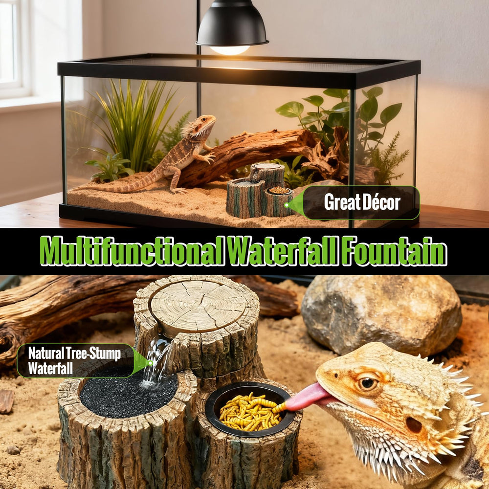 MixJOY terrarium aesthetics enhanced by a natural-looking fountain feature.