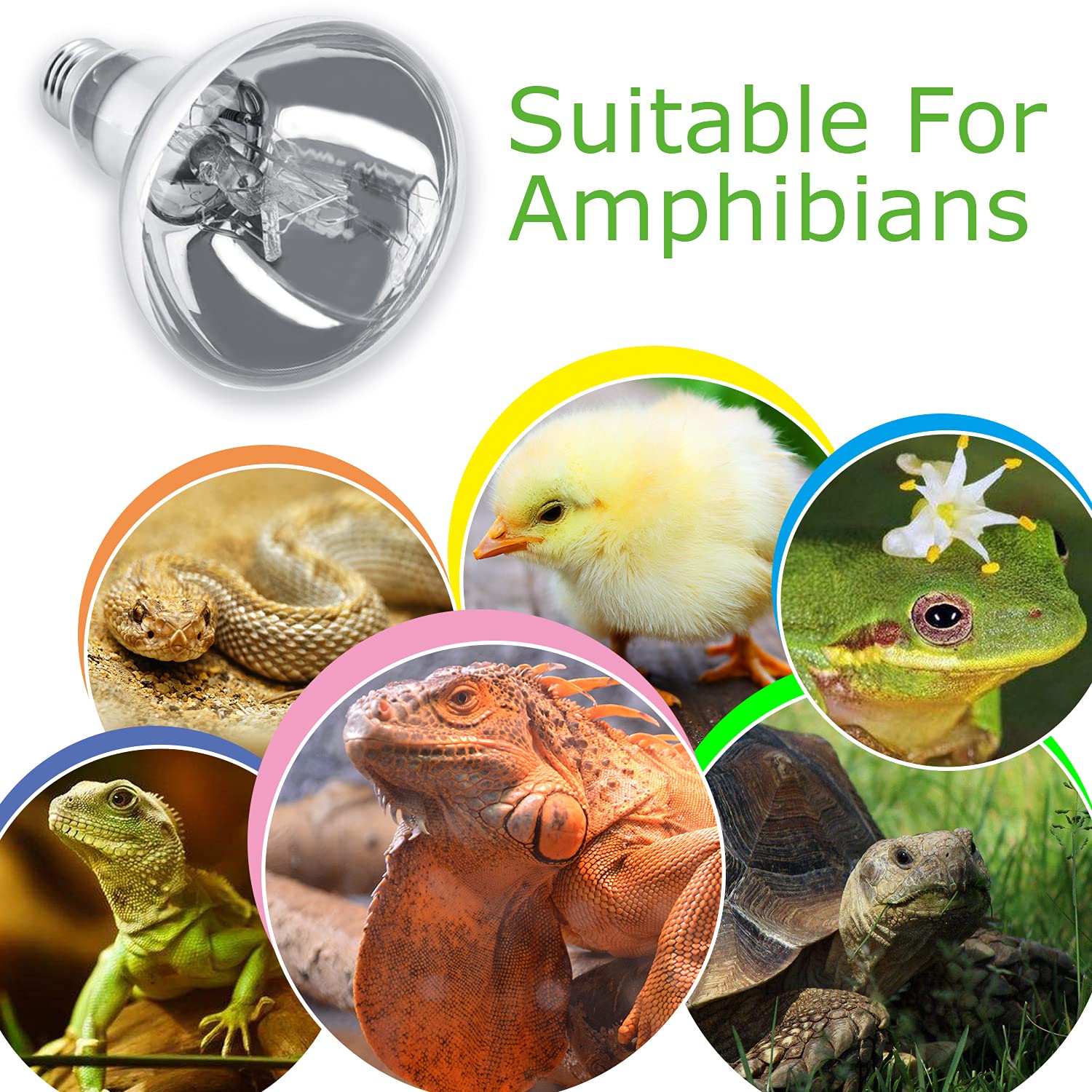 MIXJOY terrarium-compatible reptile lamp fits multiple enclosures