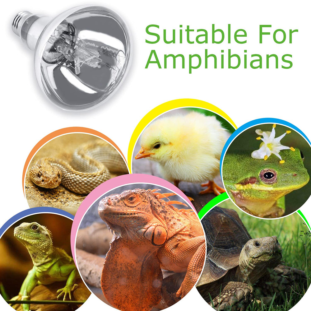 MIXJOY terrarium-compatible reptile lamp fits multiple enclosures