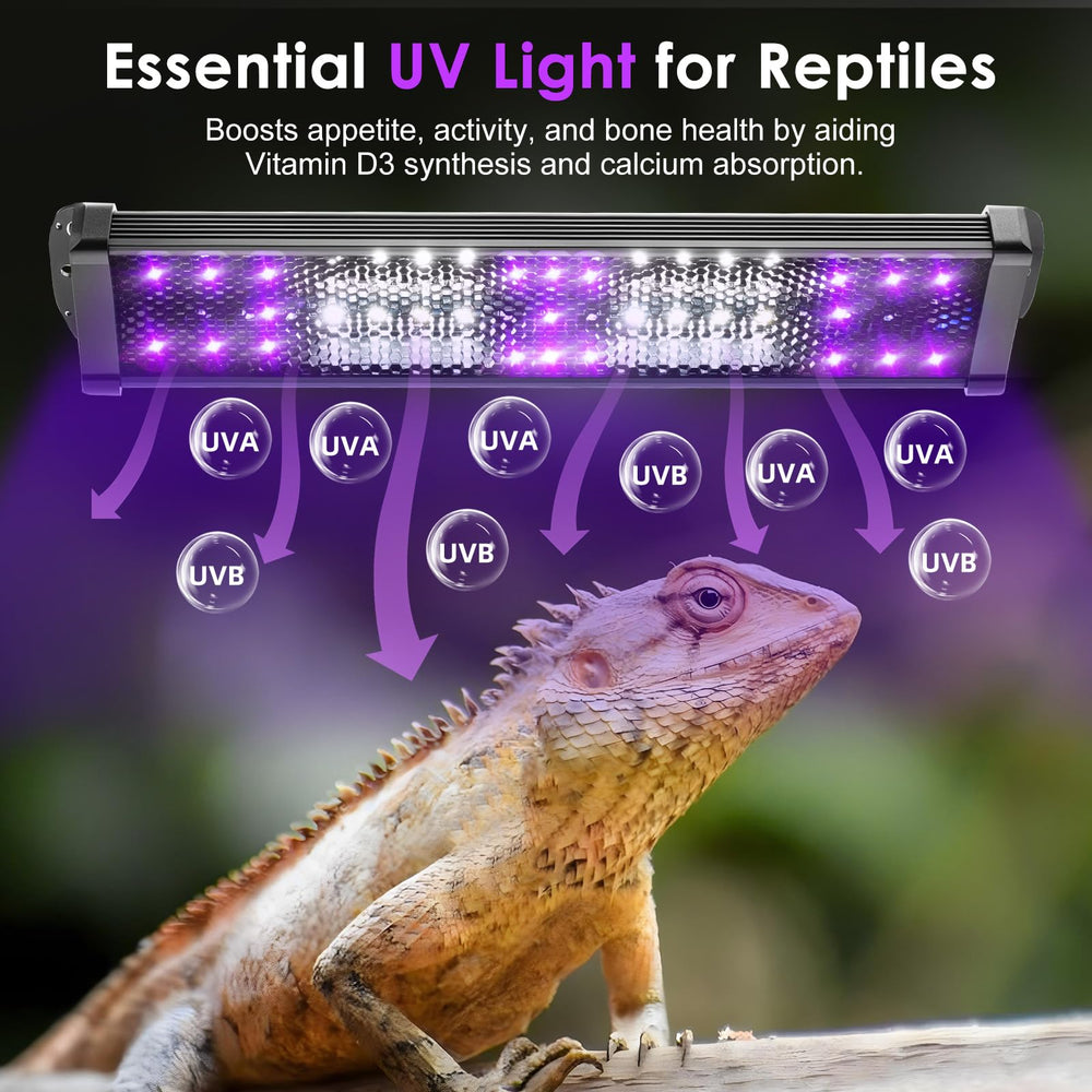MIXJOY UVB light timer and dimming wheel enabling schedule control