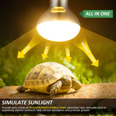 MIXJOY UVB UVA reptile light demonstrates full spectrum illumination