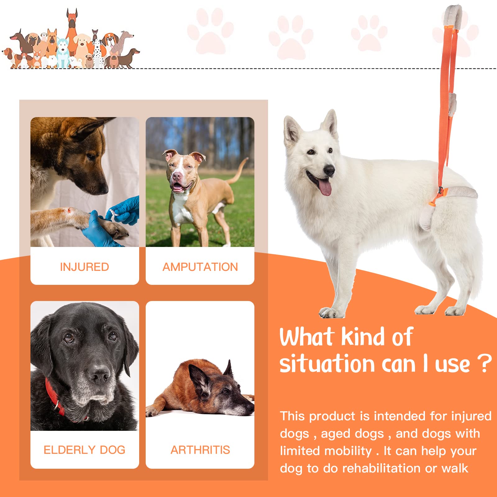 Mixweer adjustable dog sling with traction rope for a customized fit