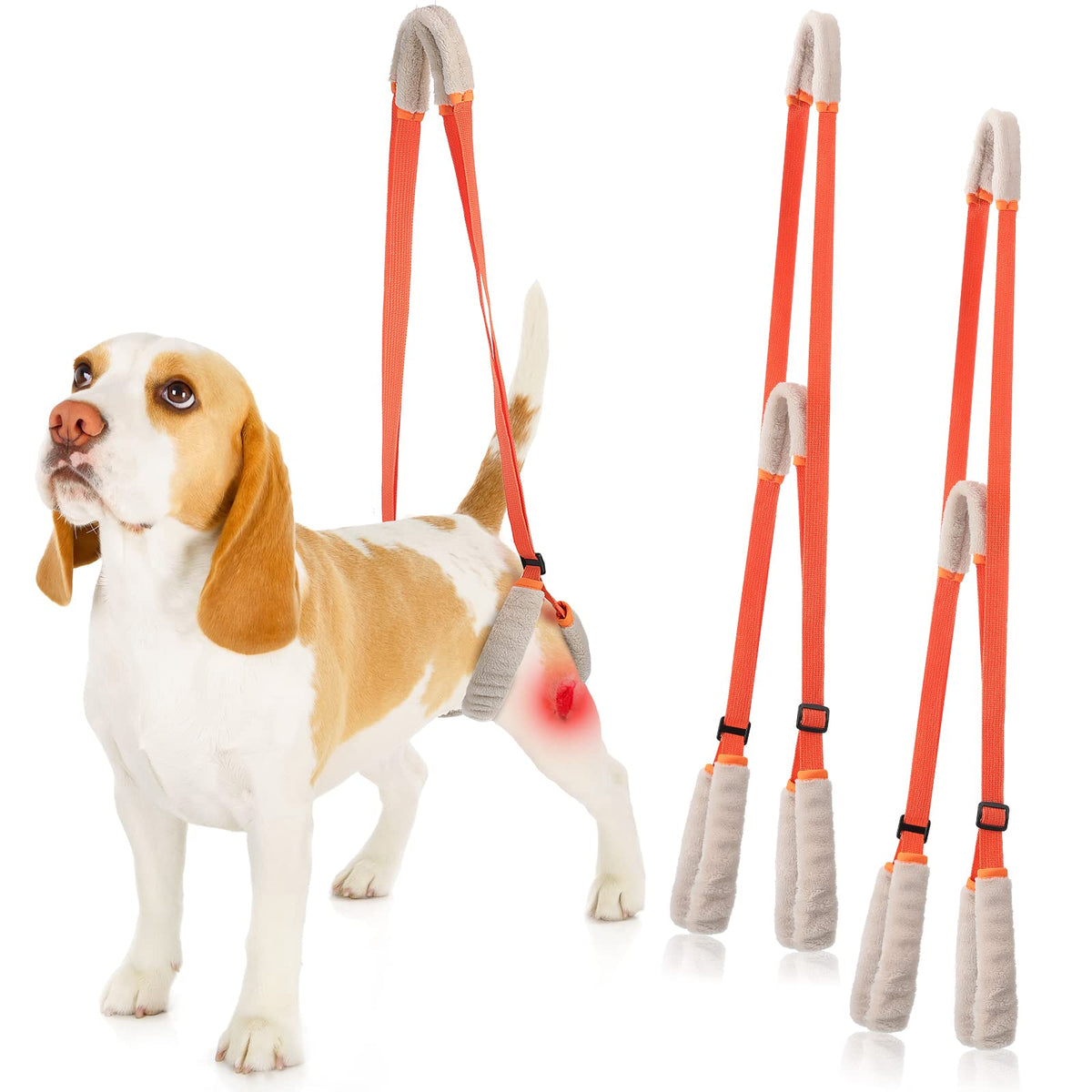 Mixweer rear leg harness in orange supports mobility with a gentle lift