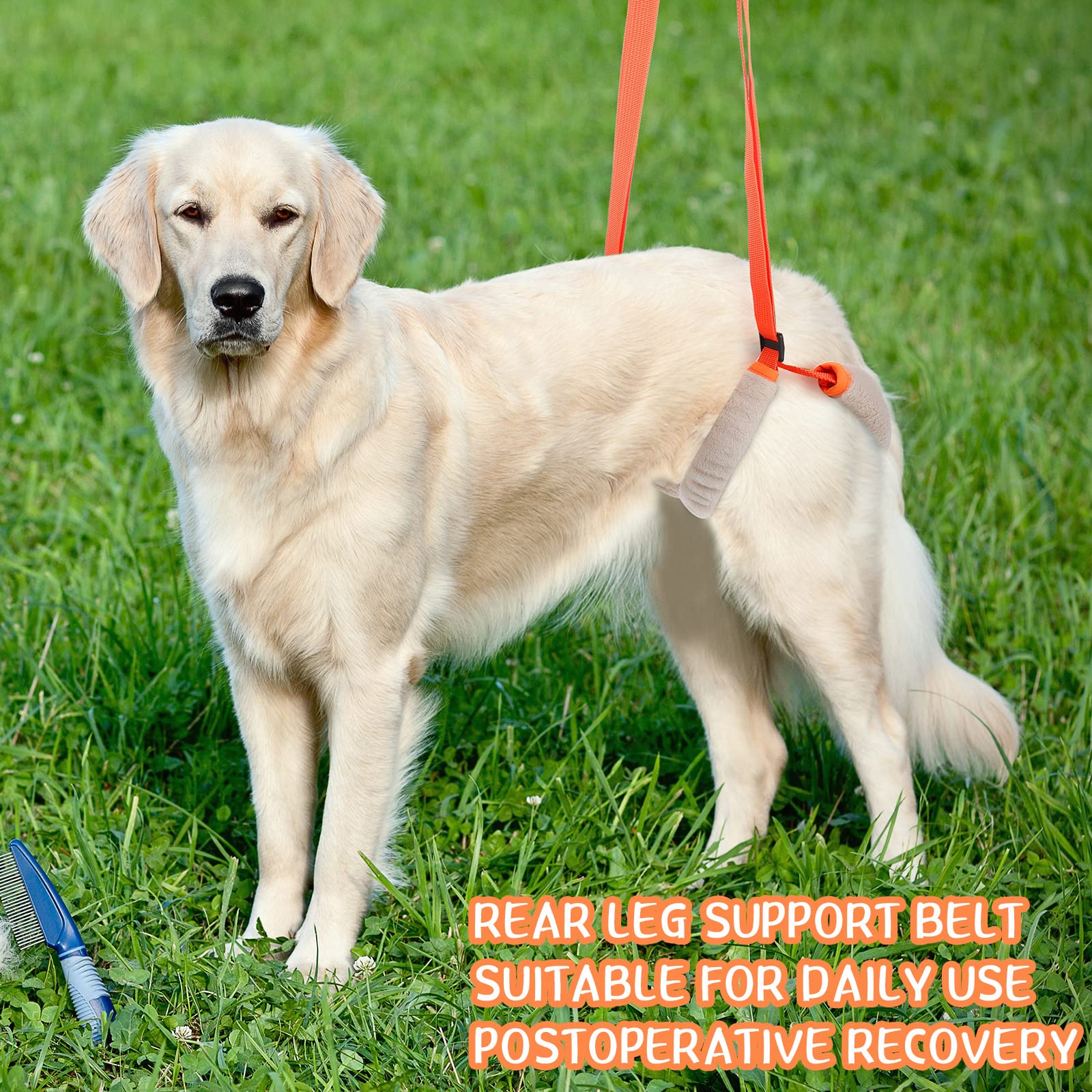 Mixweer padded handle harness reduces caregiver strain during transfers