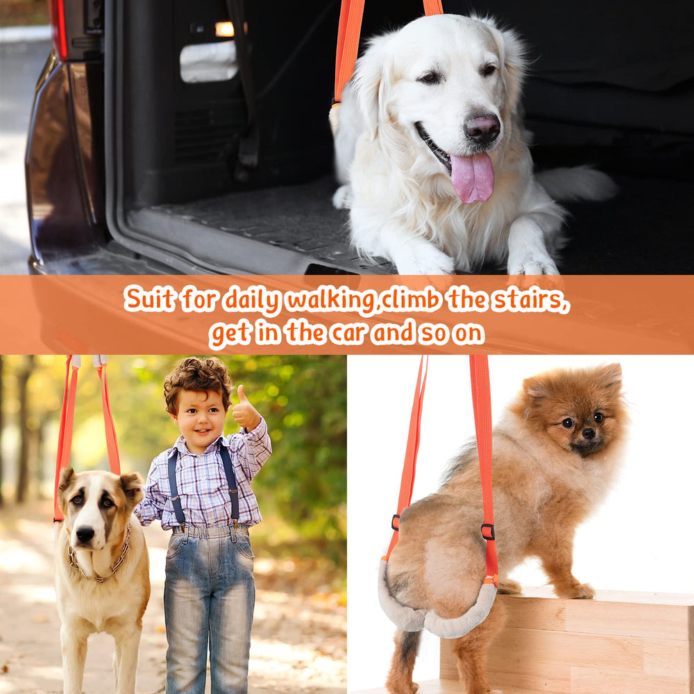 Mixweer portable hind leg support is easy to use and unisex