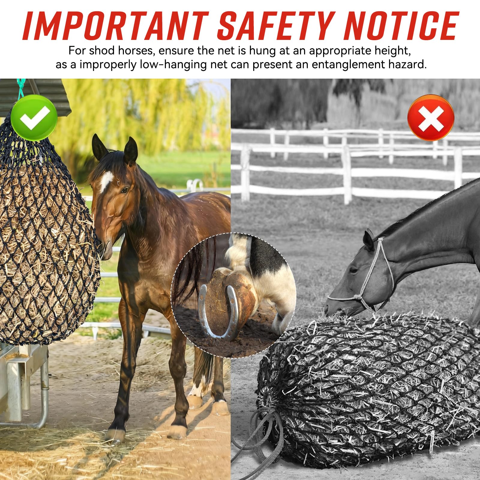 MIYABALA versatile use in barn, paddock, and trailer environments.