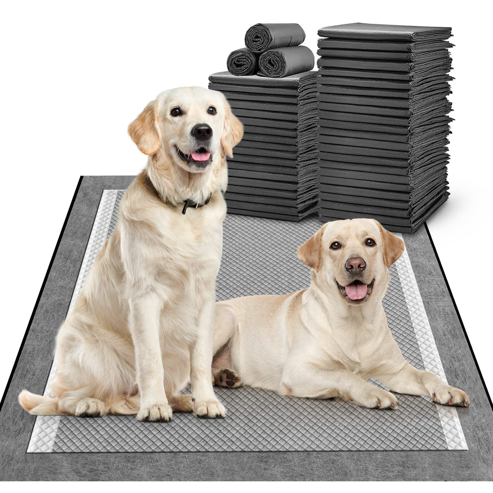 MIZOK 30x36 extralarge dog pad on floor with quick absorption