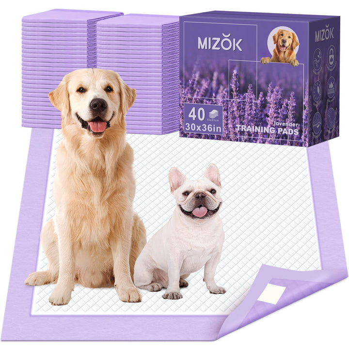 MIZOK dog pee pad 30x36 with lavender scent traps odors and protects floors.