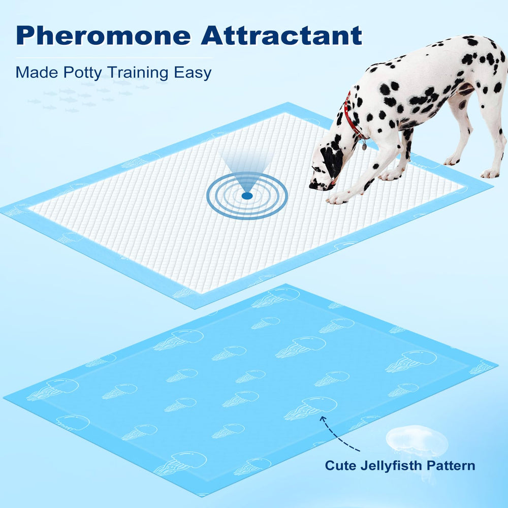 MIZOK pheromone attractant supports efficient housetraining with natural guidance.