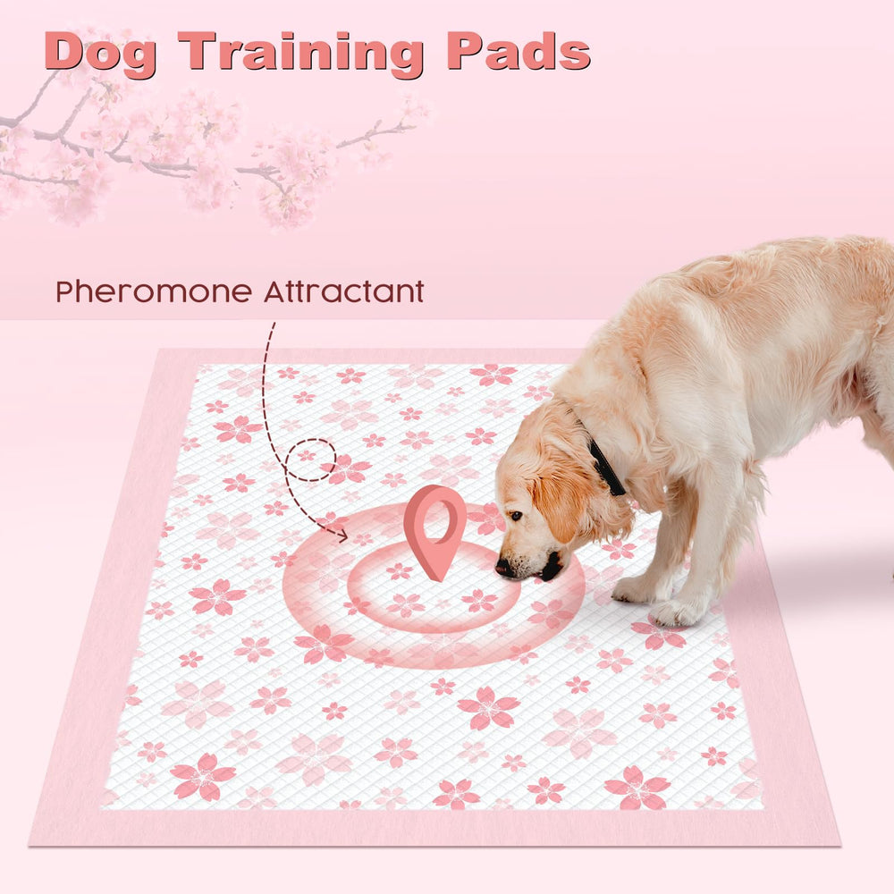 MIZOK extra-large 28x34 pad covers ample space for big breeds.