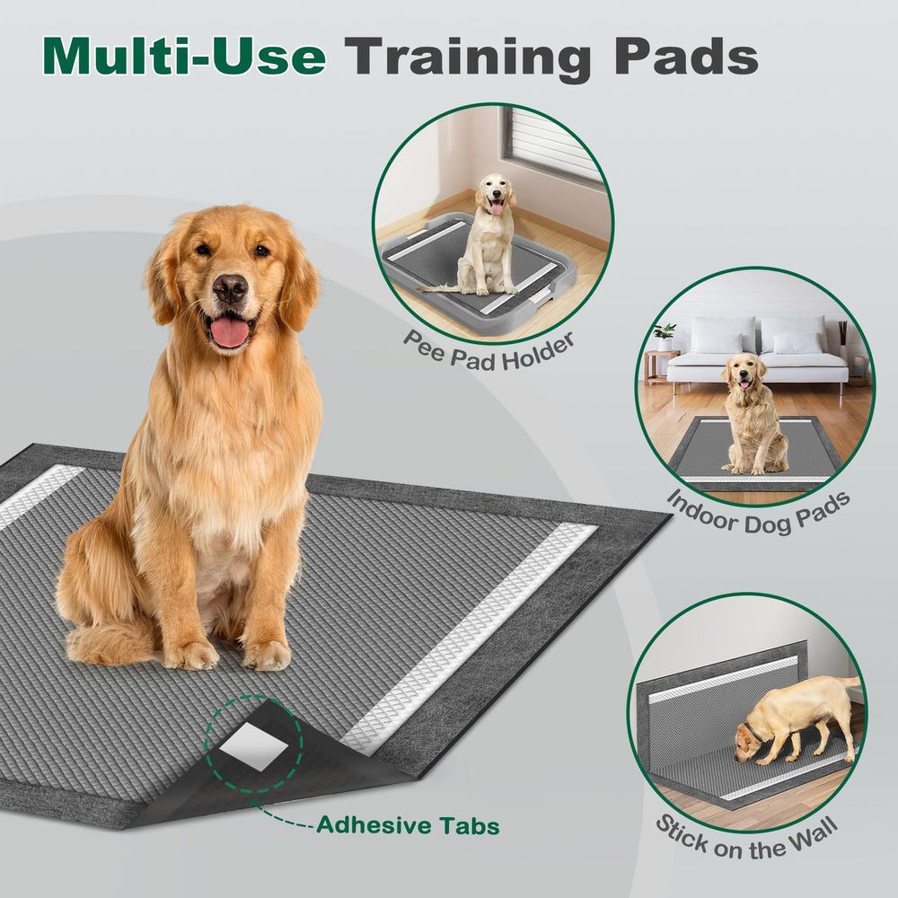MIZOK pheromone attractant supports easier daily use and routine training.