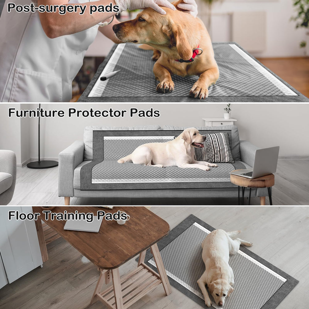 MIZOK pheromone attractant helps guide puppies to use the pad