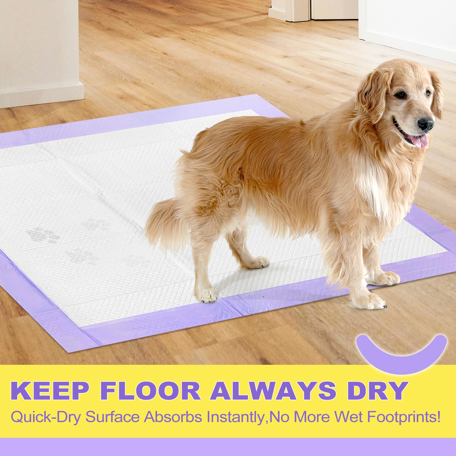 MIZOK FSC-certified materials support responsible sourcing for your pet supplies.
