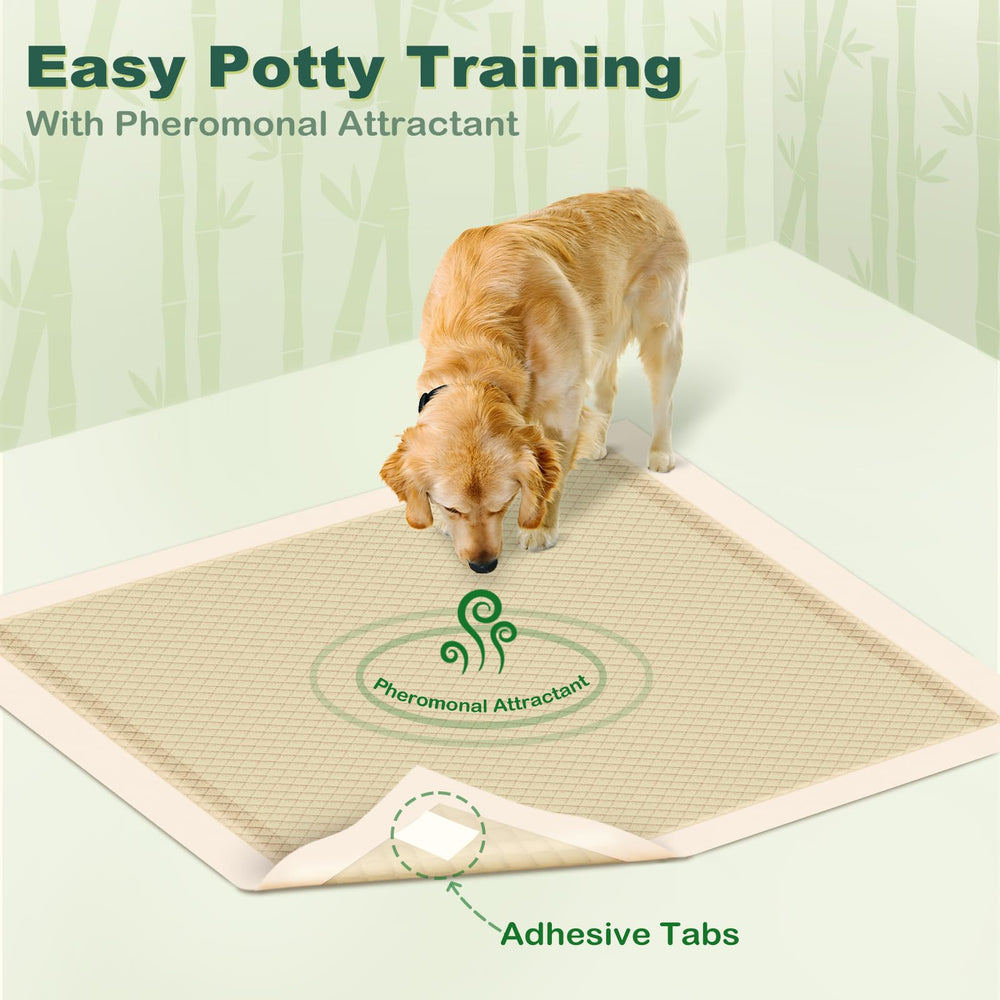 MIZOK leak-proof-bottom-film protects floors from leaks.