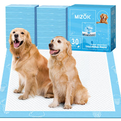 MIZOK pads with joyful blue jellyfish pattern for engaging potty training