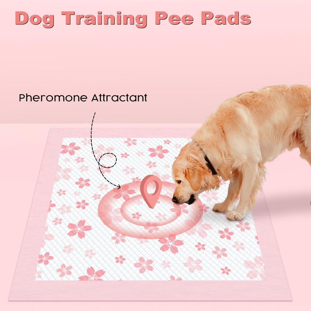 MIZOK pheromone attractant aids potty-training routine