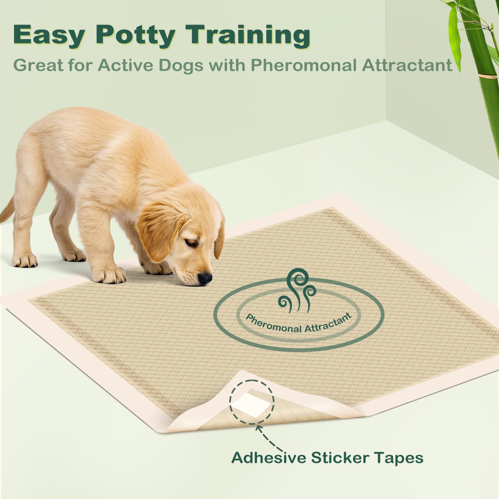 MIZOK bamboo fiber pads offer eco-friendly odor control for homes.